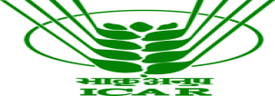 useful-blocks-bg